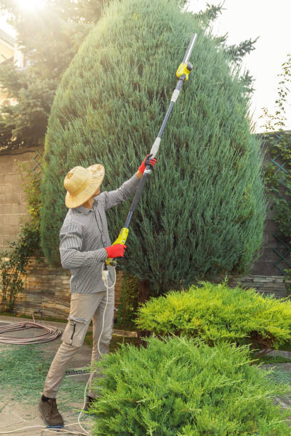 Best Soil Testing and Treatment  in Derwood, MD